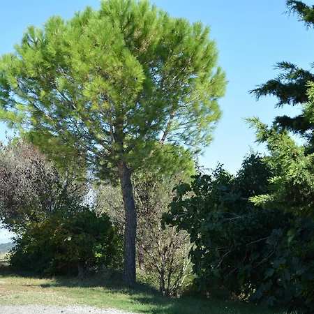 Domaine De Courbieres Affittacamere