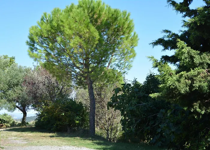 Domaine De Courbieres Affittacamere